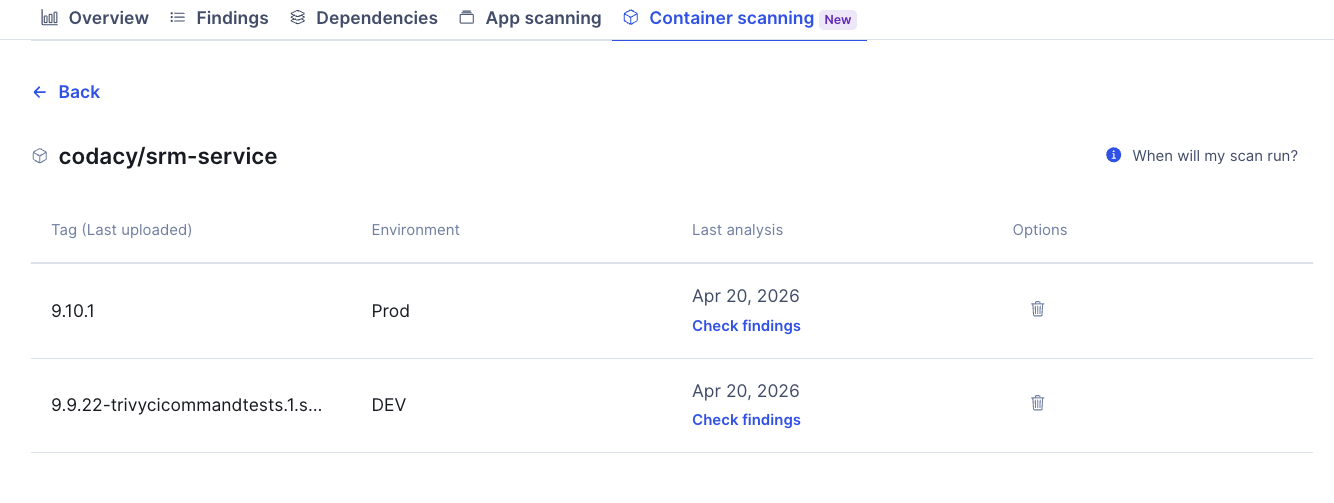 Security and risk management container image tags